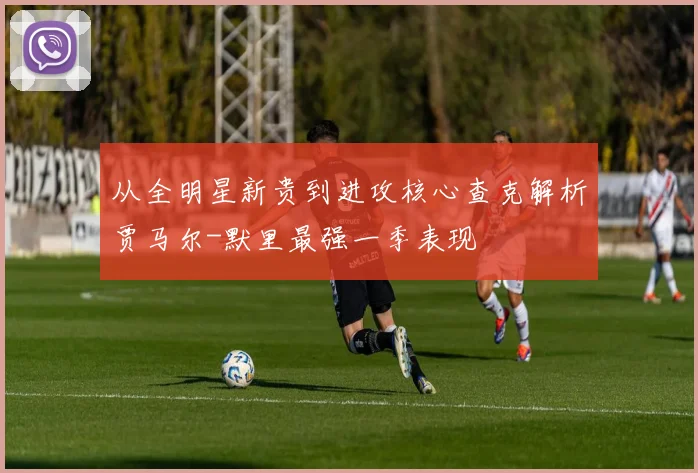 从全明星新贵到进攻核心查克解析贾马尔-默里最强一季表现