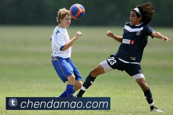 必一运动平台生态图